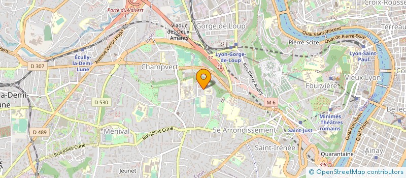 localisation de l'entreprise MONSIEUR DZEVAD RESIC à LYON