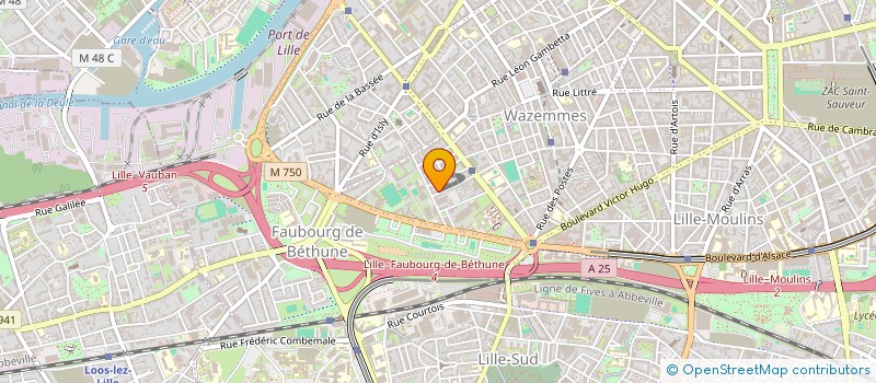 localisation de l'entreprise MONSIEUR EARWIN SIDIBE  LILLE