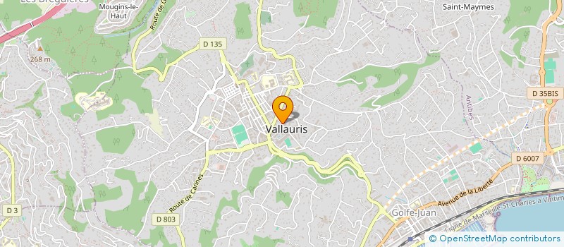 localisation de l'entreprise MONSIEUR EBEN-EZER RUBIN  VALLAURIS