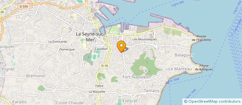 localisation de l'entreprise MONSIEUR EDDY LIVOLSI à LA SEYNE-SUR-MER