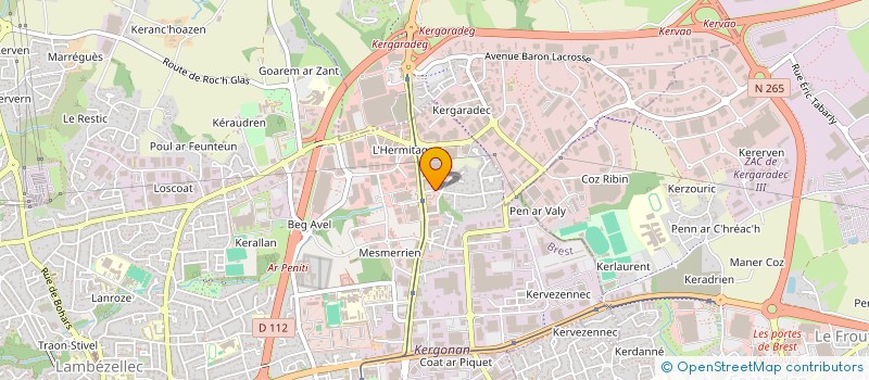 localisation de l'entreprise MONSIEUR EDDY MASSE à BREST