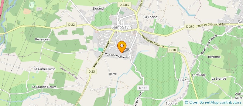 localisation de l'entreprise MONSIEUR EDDY PAPILLON  SAINT-SAVIN