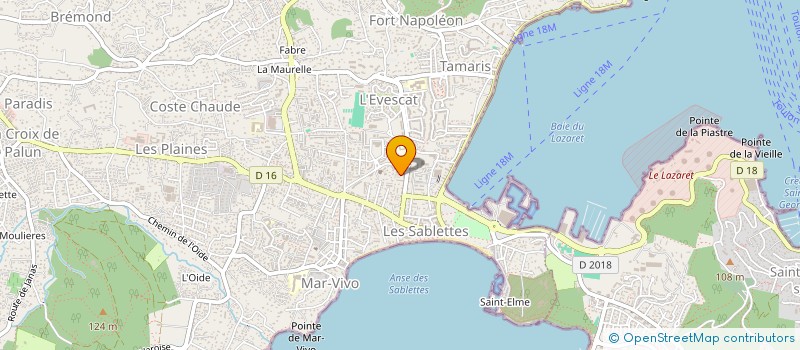 localisation de l'entreprise MONSIEUR EDDY SASSONIA  LA SEYNE-SUR-MER