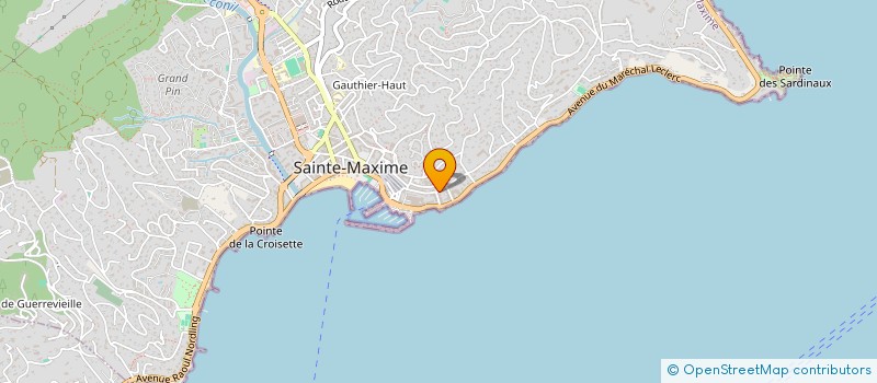 localisation de l'entreprise MONSIEUR EDDY SINGLE  SAINTE-MAXIME