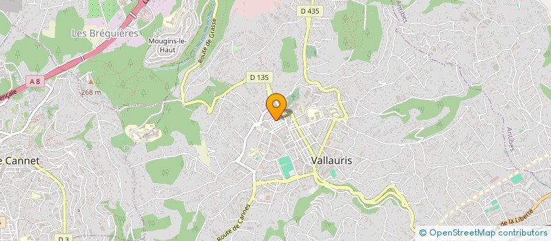 localisation de l'entreprise MONSIEUR EDILTON PINA INDAMI à VALLAURIS