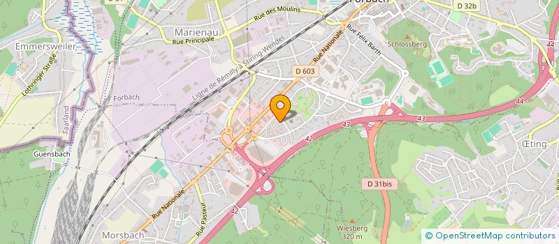 localisation de l'entreprise MONSIEUR EDIN SMAJOVIC  FORBACH