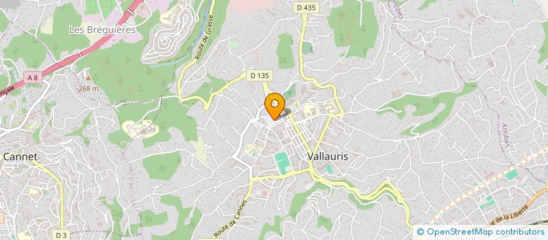 localisation de l'entreprise MONSIEUR EDMILSON GOMES VARELA à VALLAURIS