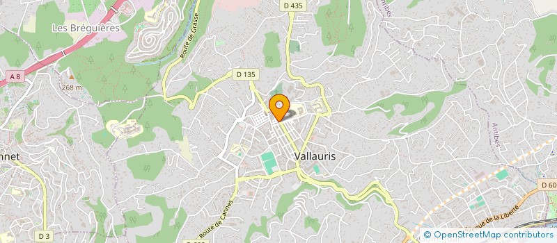 localisation de l'entreprise MONSIEUR EDMOND GUIZOL à VALLAURIS