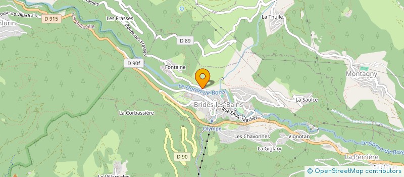 localisation de l'entreprise MONSIEUR EDOUARD MIGNOT à BRIDES-LES-BAINS