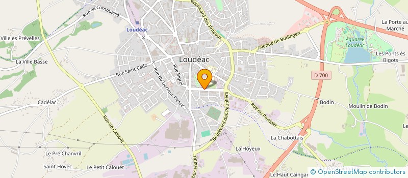 localisation de l'entreprise MONSIEUR EDOUARD SCHWARTZ à LOUDEAC