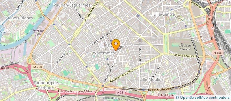 localisation de l'entreprise MONSIEUR EDOUARD VION à LILLE
