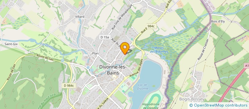 localisation de l'entreprise MONSIEUR EDUARD GRIGORIAN à DIVONNE-LES-BAINS