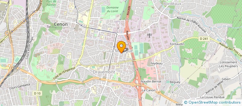 localisation de l'entreprise MONSIEUR EDUARDO DA SILVA SANTOS à CENON