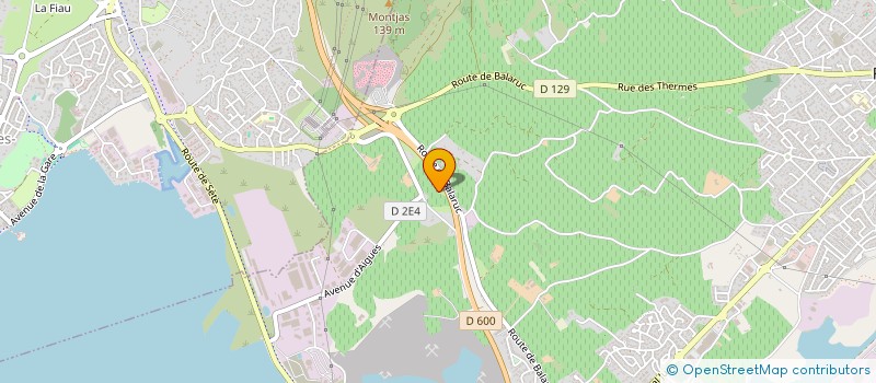 localisation de l'entreprise MONSIEUR ELEFTERIOS MITROPOULOS à FRONTIGNAN