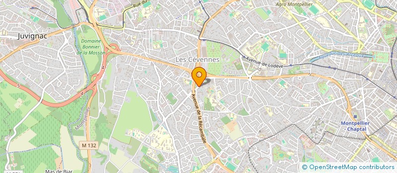 localisation de l'entreprise MONSIEUR ELHOUSSAINE HIZOUNE à MONTPELLIER