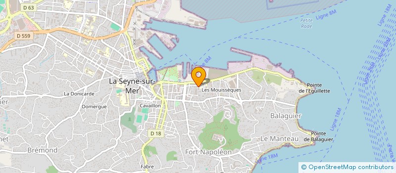 localisation de l'entreprise MONSIEUR ELIAS MOUELHI  LA SEYNE-SUR-MER