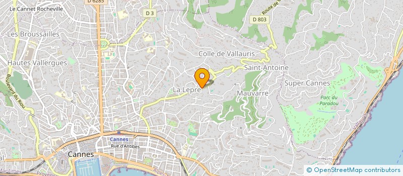 localisation de l'entreprise MONSIEUR ELIE COZIN à CANNES