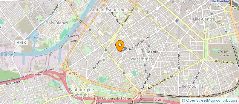 localisation de l'entreprise MONSIEUR ELIE DEFOORT à LILLE