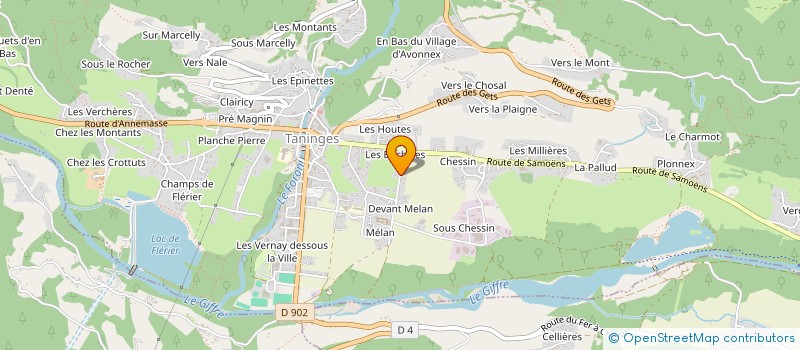 localisation de l'entreprise MONSIEUR ELIE GRANGE  TANINGES