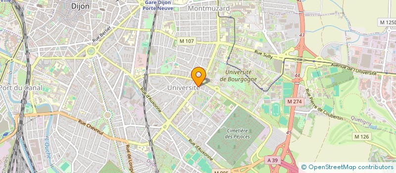 localisation de l'entreprise MONSIEUR ELIE HEINTZ à DIJON