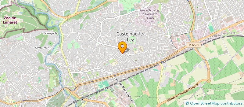 localisation de l'entreprise MONSIEUR ELIE MOLINIE à CASTELNAU-LE-LEZ