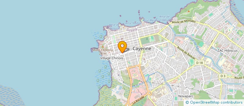 localisation de l'entreprise MONSIEUR ELIE PALAISTE à CAYENNE