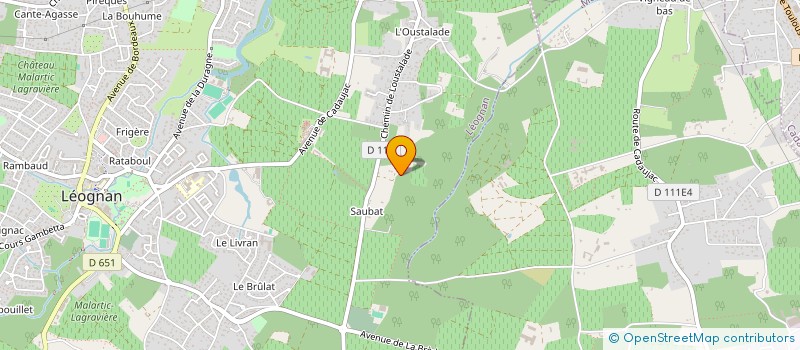 localisation de l'entreprise MONSIEUR ELIE REINHARD  LEOGNAN