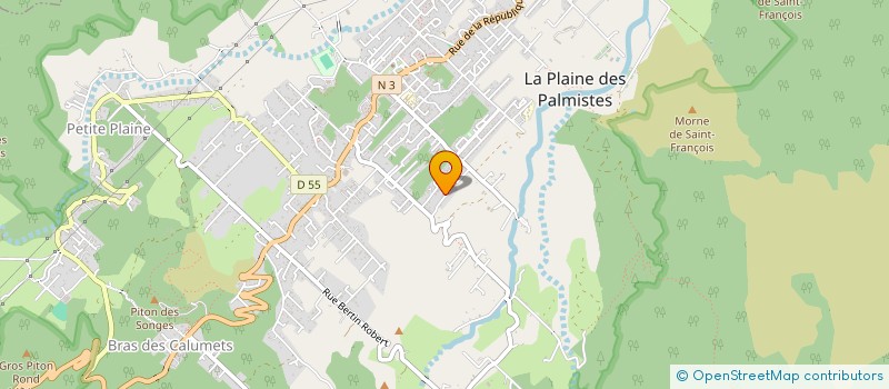 localisation de l'entreprise MONSIEUR ELIE ROBERT à LA PLAINE-DES-PALMISTES