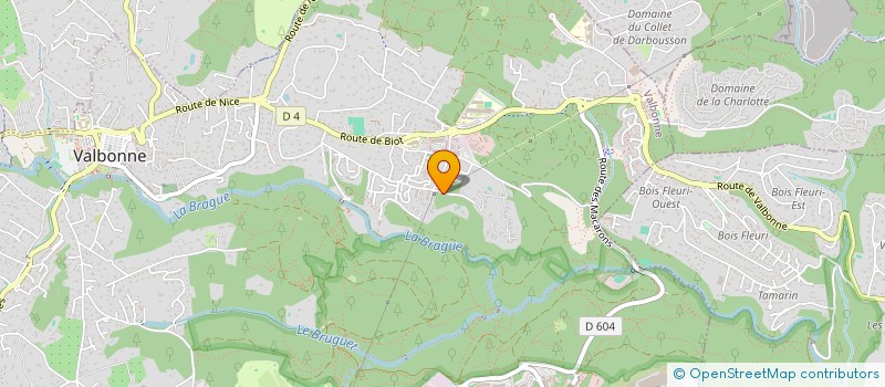 localisation de l'entreprise MONSIEUR ELIE RODRIGUEZ  VALBONNE