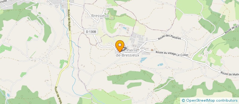 localisation de l'entreprise MONSIEUR ELIE SAVIGNON  SAINT-PIERRE-DE-BRESSIEUX