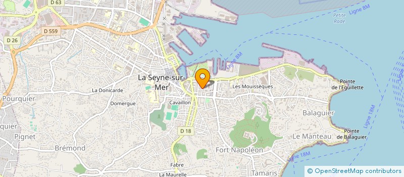 localisation de l'entreprise MONSIEUR ELIES ABDELFETTAH  LA SEYNE-SUR-MER