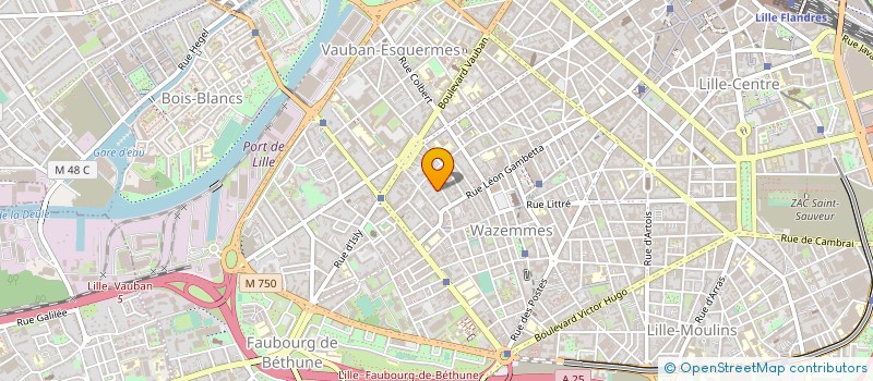 localisation de l'entreprise MONSIEUR ELIMANE BA à LILLE
