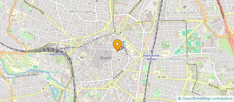 localisation de l'entreprise MONSIEUR ELIOTT MOREAU à DIJON