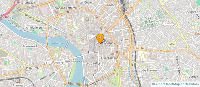 localisation de l'entreprise MONSIEUR ELIOTT ROI  TOULOUSE