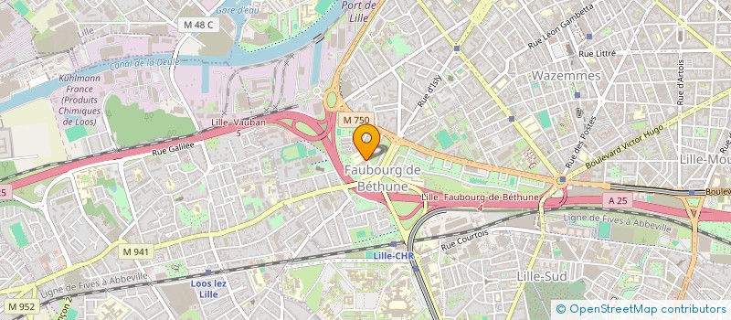 localisation de l'entreprise MONSIEUR ELISEE KOUASSI  LILLE