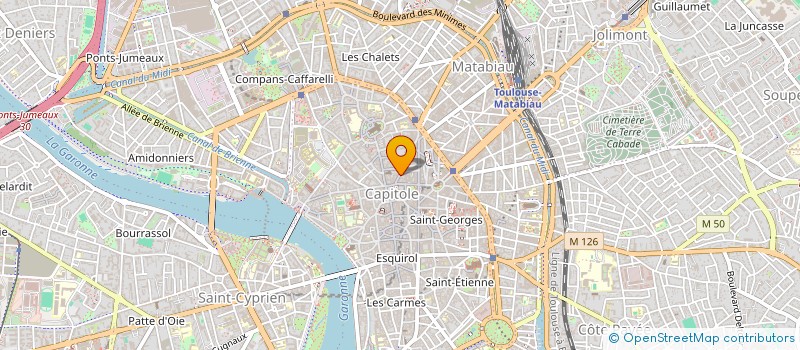 localisation de l'entreprise MONSIEUR ELLI DEBORD à TOULOUSE