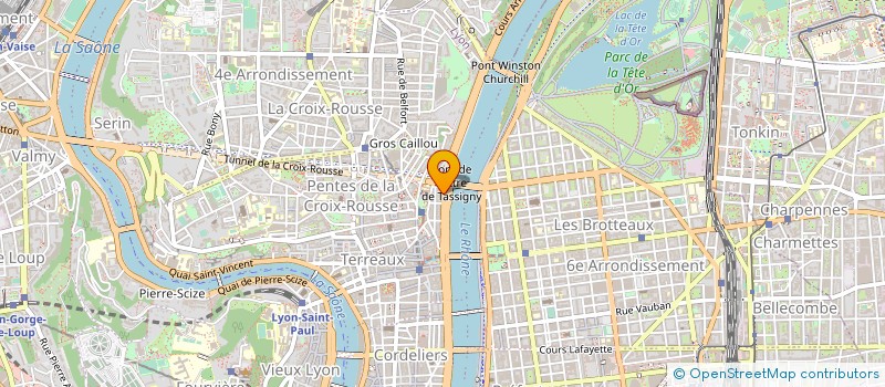 localisation de l'entreprise MONSIEUR ELLIOTT BITTON à LYON