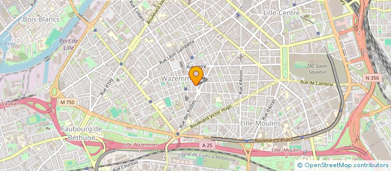 localisation de l'entreprise MONSIEUR ELOI FEVRIER à LILLE