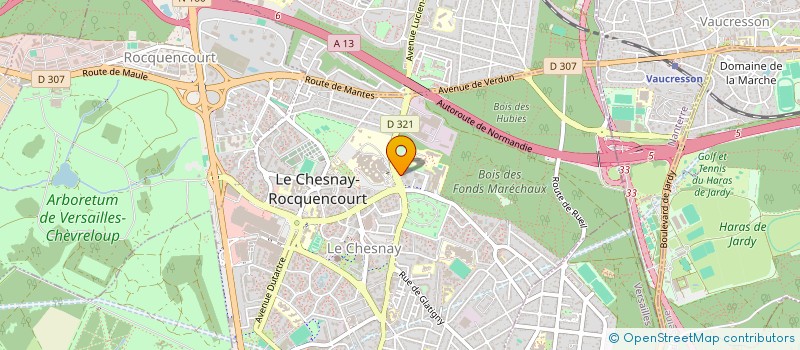 localisation de l'entreprise MONSIEUR ELVES CARVALHO SILVA  LE CHESNAY-ROCQUENCOURT
