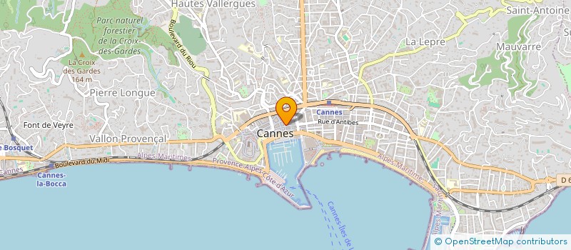 localisation de l'entreprise MONSIEUR ELVIS CAILLUYERE à CANNES