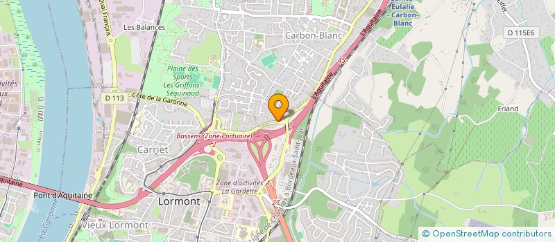 localisation de l'entreprise MONSIEUR ELVIS CHAPUIS  CARBON-BLANC