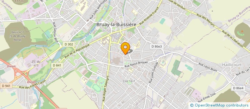 localisation de l'entreprise MONSIEUR ELVIS DUBREUCQ  BRUAY-LA-BUISSIERE