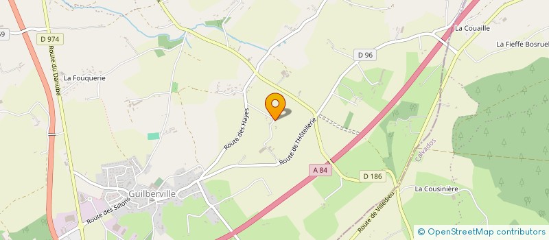 localisation de l'entreprise MONSIEUR ELVIS LEBOUCHER  TORIGNY-LES-VILLES