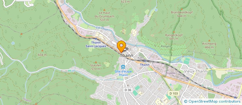 localisation de l'entreprise MONSIEUR ELVIS OSMANOVIC  THANN