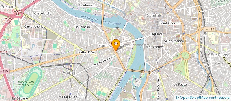 localisation de l'entreprise MONSIEUR ELVIS PICHOU  TOULOUSE