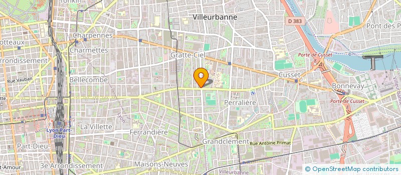 localisation de l'entreprise MONSIEUR ELVIS WINTERSTEIN  VILLEURBANNE