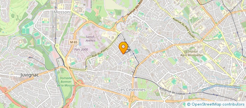 localisation de l'entreprise MONSIEUR ELYES OURAZZOUK à MONTPELLIER