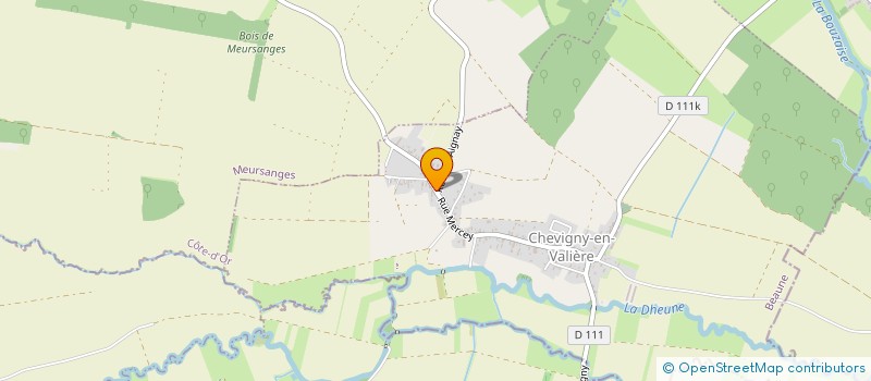 localisation de l'entreprise MONSIEUR ELYOTT FRIEZ  CHEVIGNY-EN-VALIERE