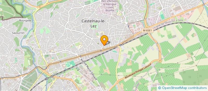 localisation de l'entreprise MONSIEUR EMANUELE CECILIATO à CASTELNAU-LE-LEZ