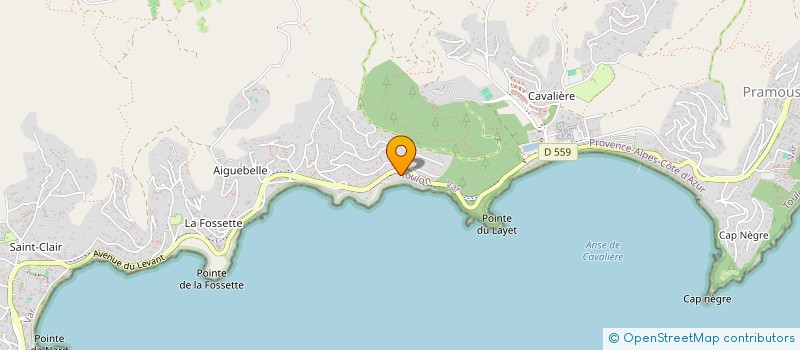 localisation de l'entreprise MONSIEUR EMANUELE LONGO à LE LAVANDOU